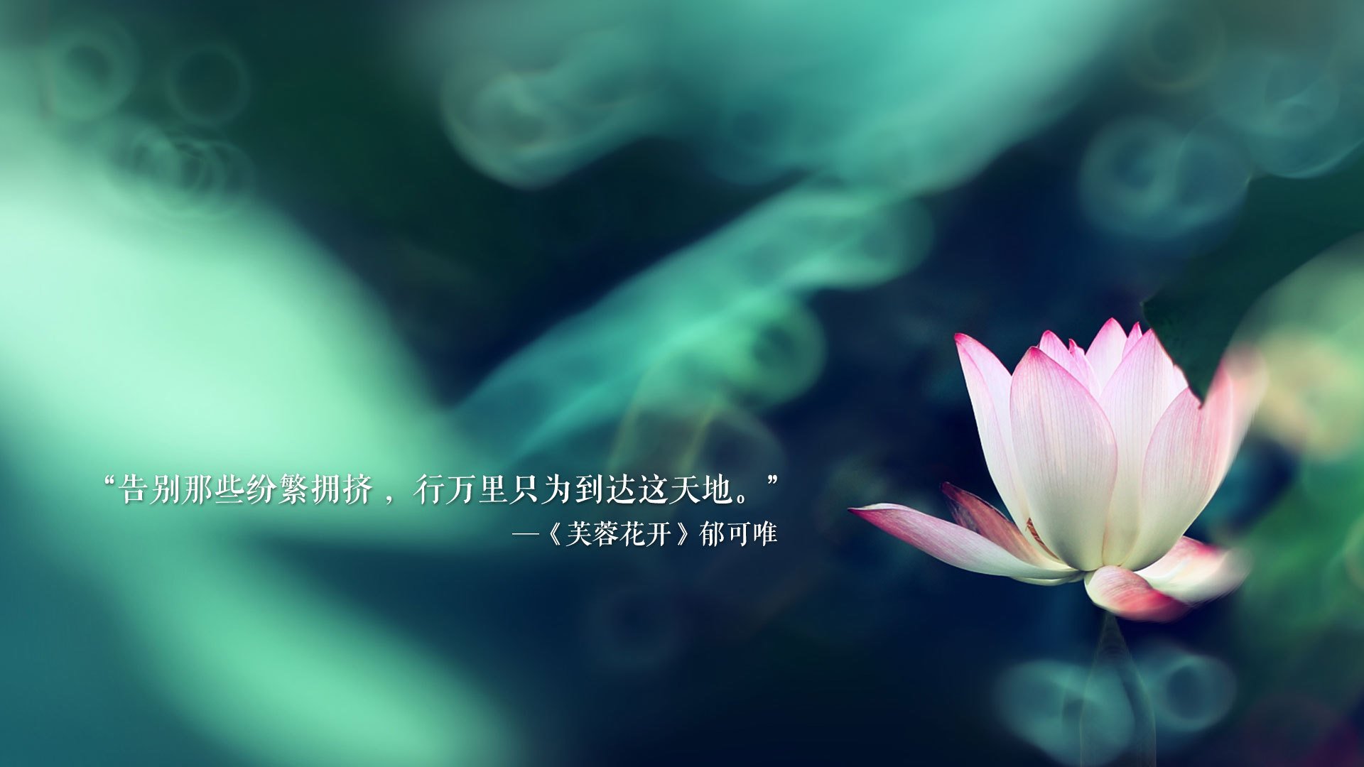 德甲青训体系中前锋技术培养最佳案例，德甲青训最好俱乐部