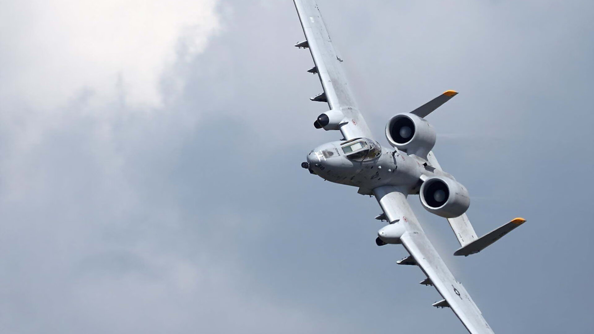 体育服务机器人亮相大型综合赛事现场,全国体育机器人联盟