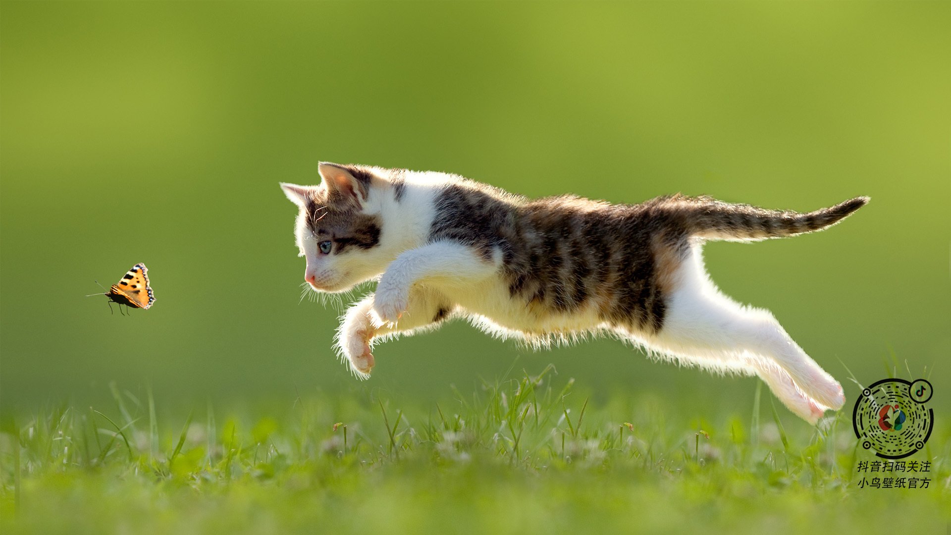 俱乐部财务透明度为何难以提升,俱乐部财务透明度为何难以提升的原因