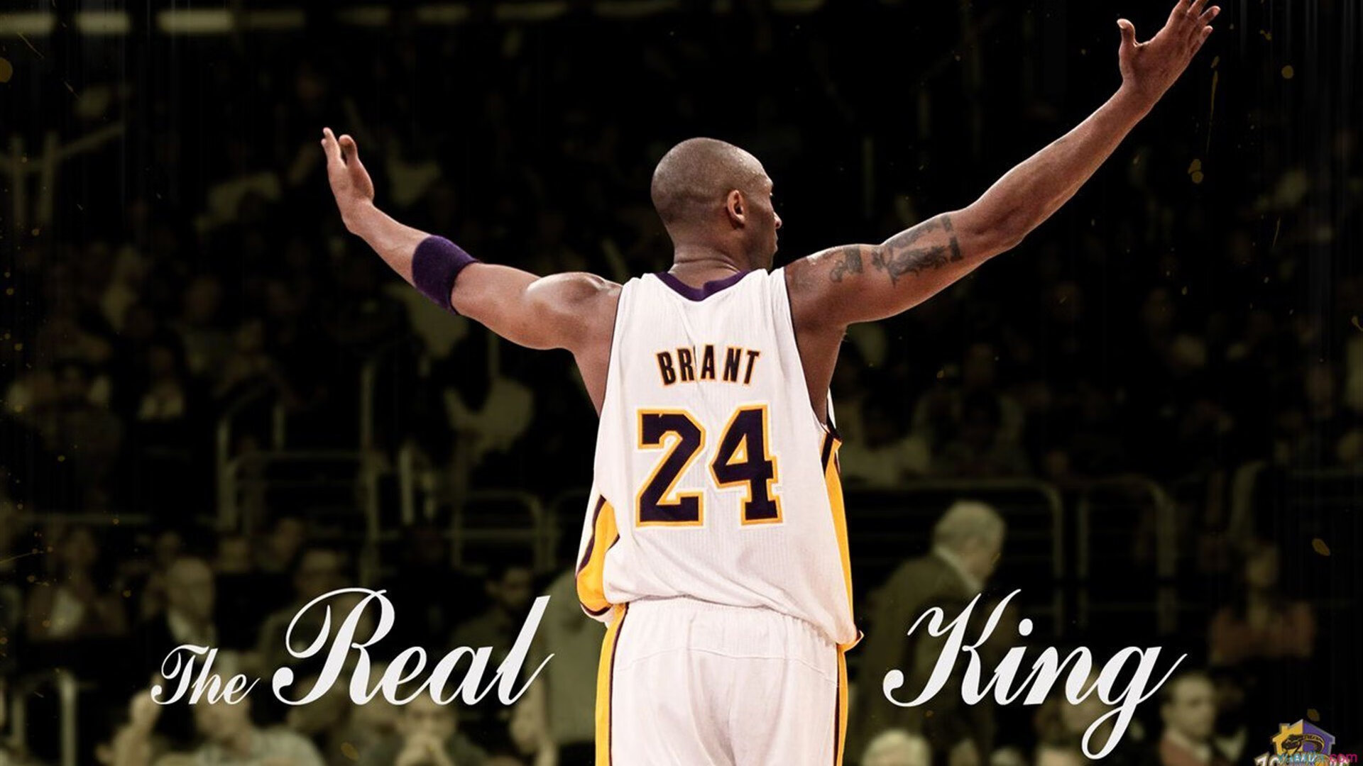 场馆智能化管理实现高效运转,智能化场馆建设