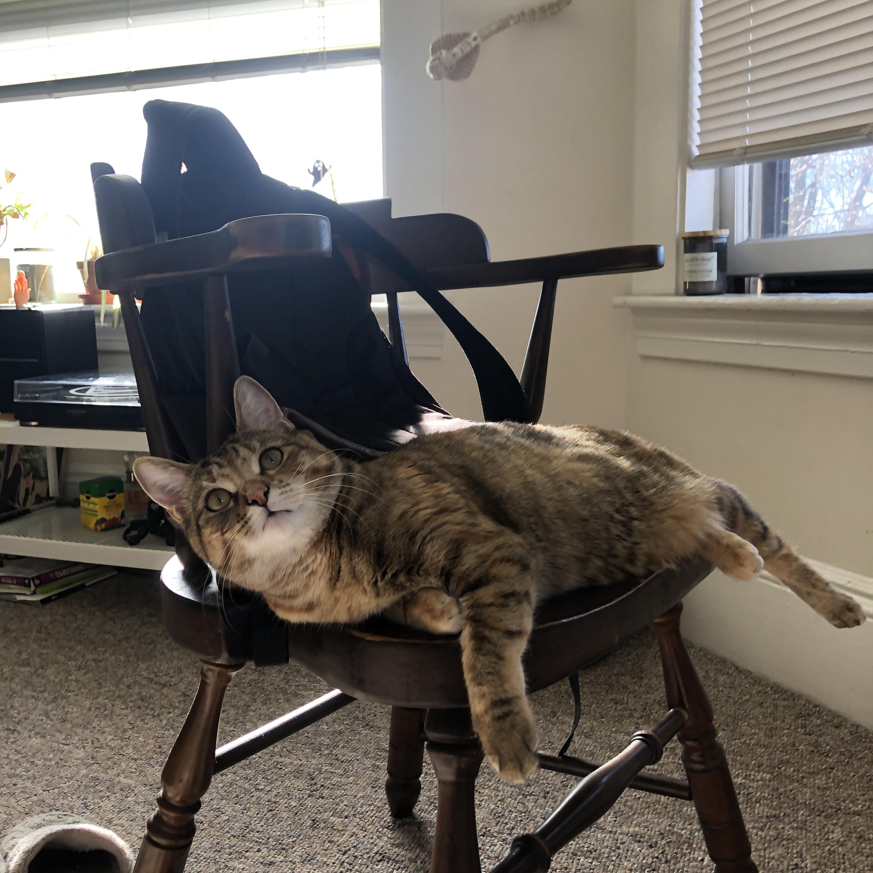 成绩构成分布图:中美表现渐趋接近,成绩的构成