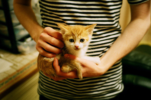 曼城主场连胜状态火热冲击榜首,曼城联赛连胜纪录