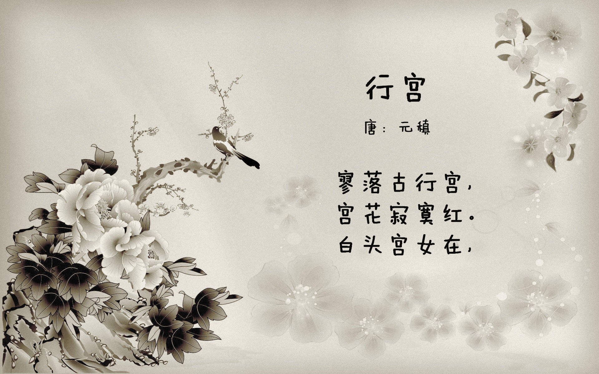 王者荣耀主播破圈联动综艺展现多样魅力,2020年度王者荣耀主播