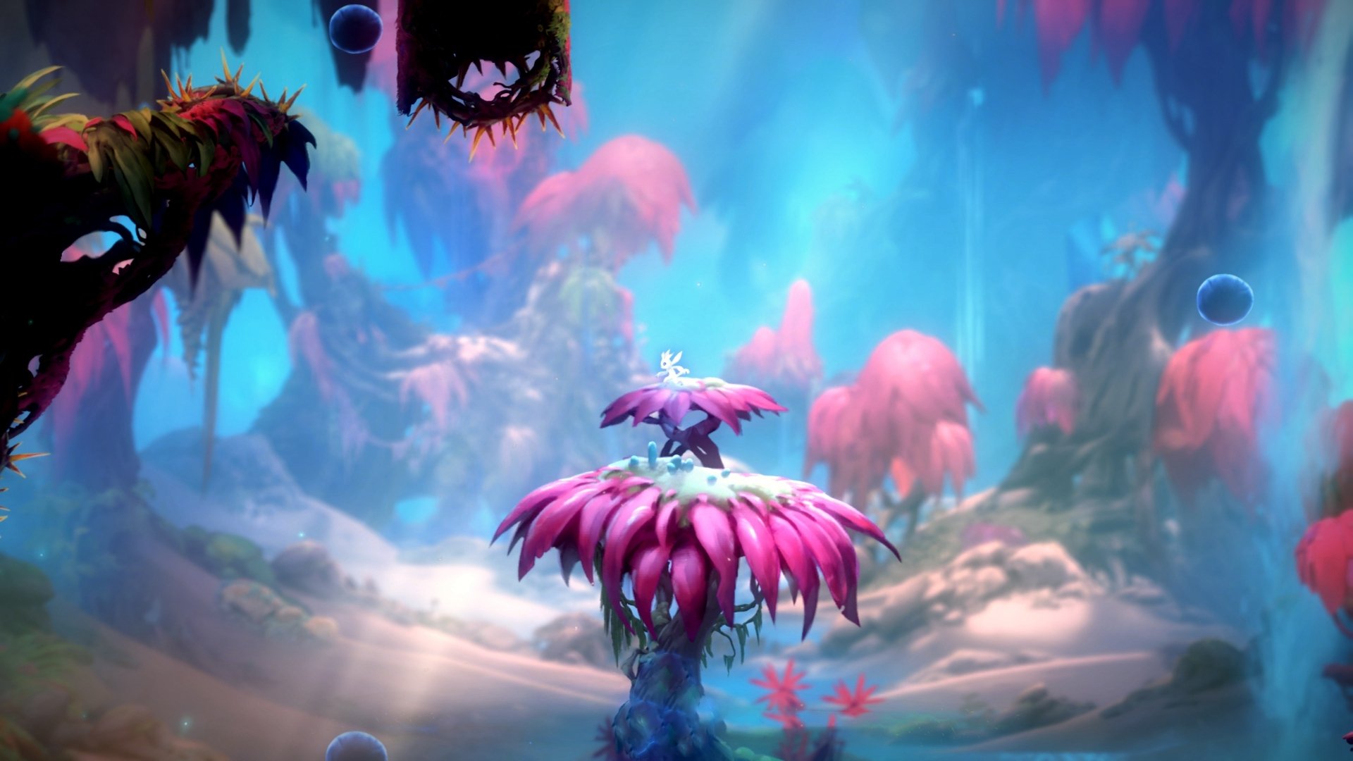 世界杯明星对决:天赋与努力的巅峰较量,世界杯明星球队