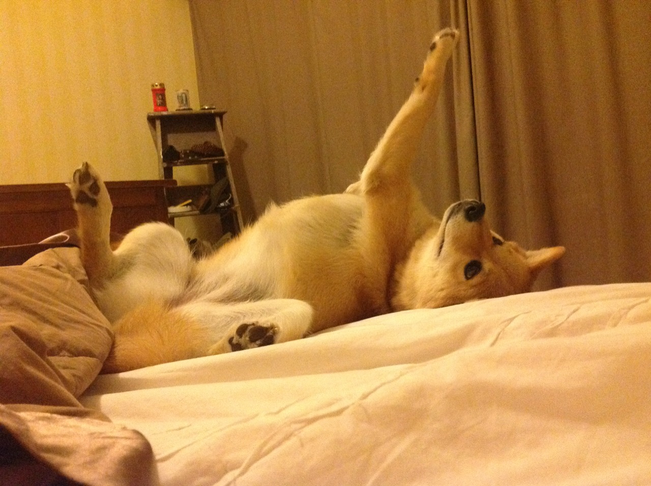 世界杯逆转传奇:英雄瞬间震撼全场!,世界杯首场逆转