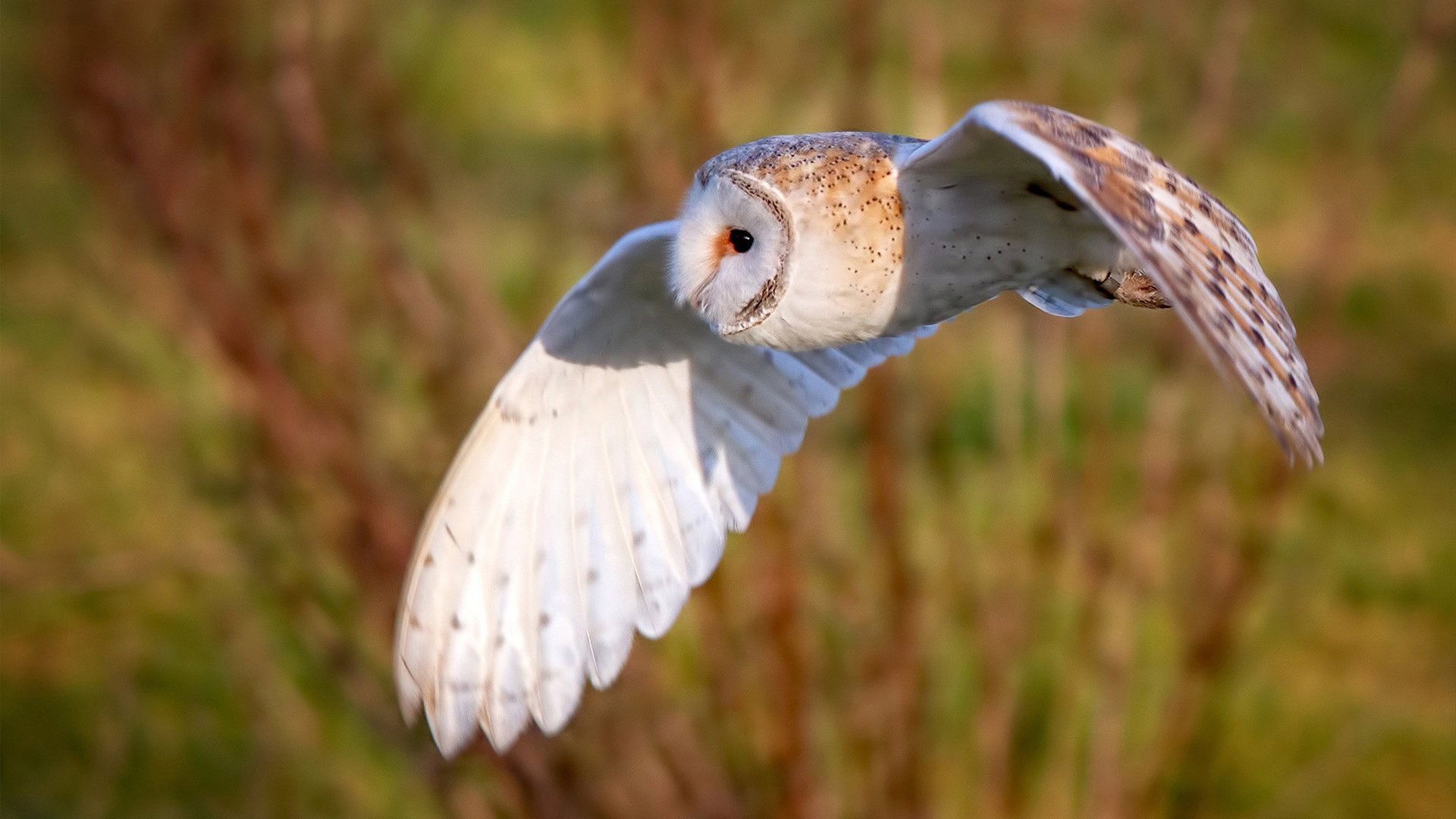 爱游戏官方-中国男篮提高转换进攻速度重视攻防节奏，中国男篮转会
