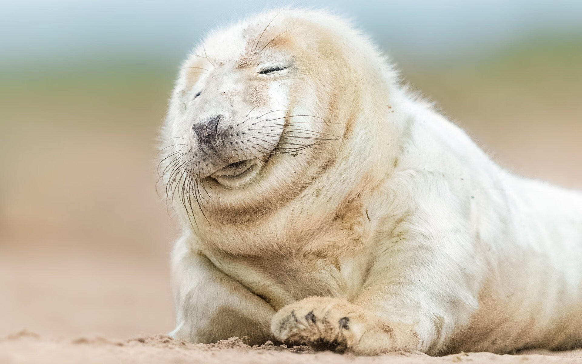 中国足球联赛支持地方少数民族足球文化交流,国足中的少数民族球员