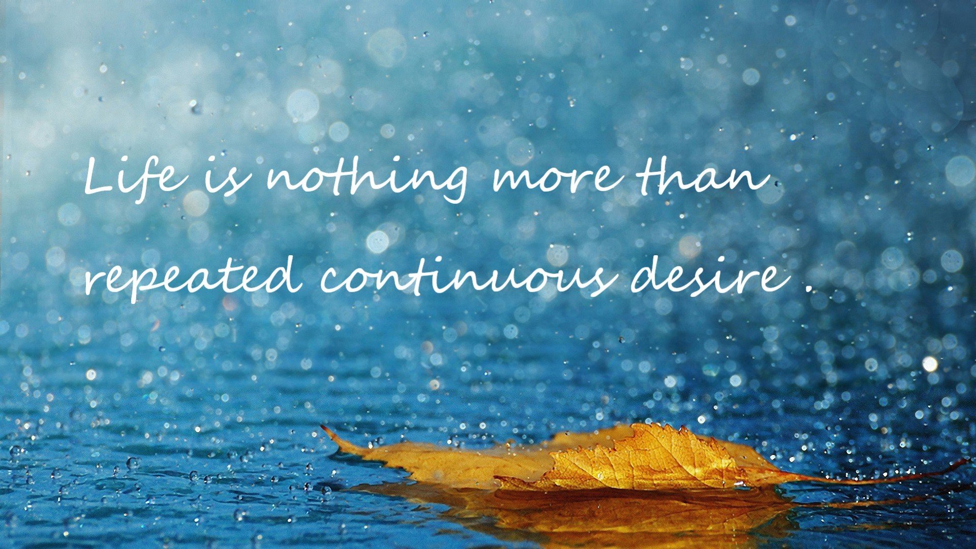 伊朗女篮在亚洲锦标赛中夺冠,体育实力再上一层楼,伊朗女篮vs中国女篮结果