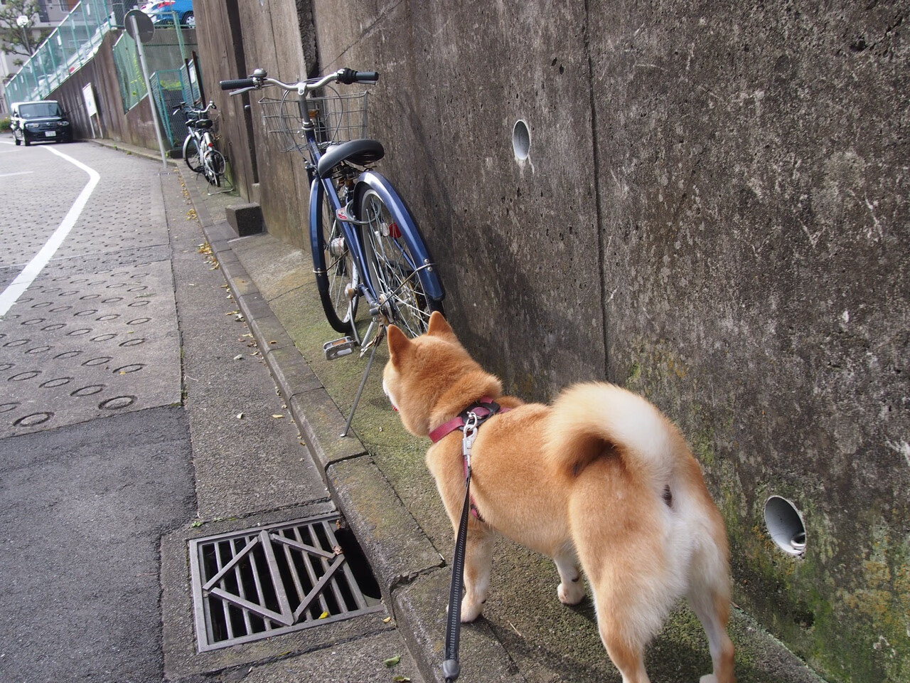 国家队增加团队战术沙龙增强沟通与执行一致性,增强团队战斗力