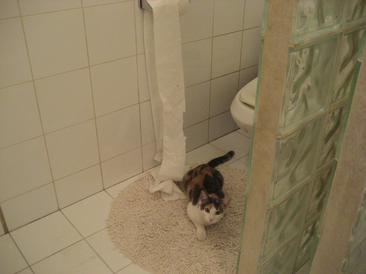 法甲超级攻势：优雅突破与精准射门集结于一身，法甲精华