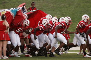 爱游戏app-CBA是否鼓励球队建立多元化的青年培养体系，cba青年队一般几岁